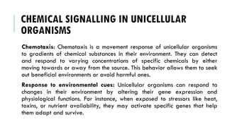 CHEMICAL SIGNALLING IN UNICELLULAR
ORGANISMS
Chemotaxis: Chemotaxis is a movement response of unicellular organisms
to gradients of chemical substances in their environment. They can detect
and respond to varying concentrations of specific chemicals by either
moving towards or away from the source. This behavior allows them to seek
out beneficial environments or avoid harmful ones.
Response to environmental cues: Unicellular organisms can respond to
changes in their environment by altering their gene expression and
physiological functions. For instance, when exposed to stressors like heat,
toxins, or nutrient availability, they may activate specific genes that help
them adapt and survive.
 
