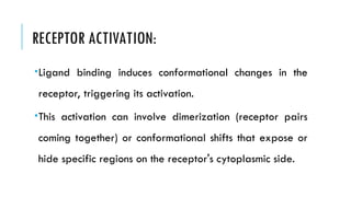 RECEPTOR ACTIVATION:
Ligand binding induces conformational changes in the
receptor, triggering its activation.
This activation can involve dimerization (receptor pairs
coming together) or conformational shifts that expose or
hide specific regions on the receptor's cytoplasmic side.
 