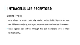 INTRACELLULAR RECEPTORS:
Ligand Types:
 Intracellular receptors primarily bind to hydrophobic ligands, such as
steroid hormones (e.g., estrogen, testosterone) and thyroid hormones.
 These ligands can diffuse through the cell membrane due to their
lipid solubility.
 