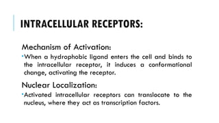 INTRACELLULAR RECEPTORS:
Mechanism of Activation:
When a hydrophobic ligand enters the cell and binds to
the intracellular receptor, it induces a conformational
change, activating the receptor.
Nuclear Localization:
Activated intracellular receptors can translocate to the
nucleus, where they act as transcription factors.
 