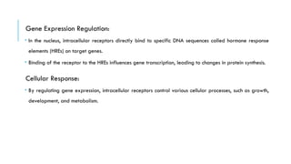 Gene Expression Regulation:
 In the nucleus, intracellular receptors directly bind to specific DNA sequences called hormone response
elements (HREs) on target genes.
 Binding of the receptor to the HREs influences gene transcription, leading to changes in protein synthesis.
Cellular Response:
 By regulating gene expression, intracellular receptors control various cellular processes, such as growth,
development, and metabolism.
 