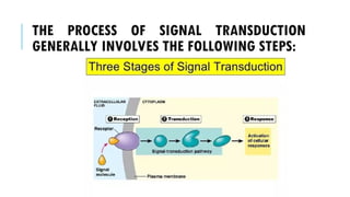 THE PROCESS OF SIGNAL TRANSDUCTION
GENERALLY INVOLVES THE FOLLOWING STEPS:
 
