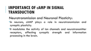 IMPORTANCE OF cAMP IN SIGNAL
TRANSDUCTION
Neurotransmission and Neuronal Plasticity:
In neurons, cAMP plays a role in neurotransmission and
synaptic plasticity.
It modulates the activity of ion channels and neurotransmitter
receptors, affecting synaptic strength and information
processing in the brain.
 
