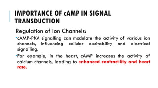 IMPORTANCE OF cAMP IN SIGNAL
TRANSDUCTION
Regulation of Ion Channels:
cAMP-PKA signalling can modulate the activity of various ion
channels, influencing cellular excitability and electrical
signalling.
For example, in the heart, cAMP increases the activity of
calcium channels, leading to enhanced contractility and heart
rate.
 
