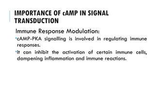 IMPORTANCE OF cAMP IN SIGNAL
TRANSDUCTION
Immune Response Modulation:
cAMP-PKA signalling is involved in regulating immune
responses.
It can inhibit the activation of certain immune cells,
dampening inflammation and immune reactions.
 