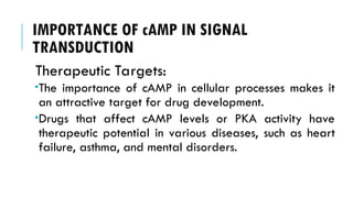 IMPORTANCE OF cAMP IN SIGNAL
TRANSDUCTION
Therapeutic Targets:
The importance of cAMP in cellular processes makes it
an attractive target for drug development.
Drugs that affect cAMP levels or PKA activity have
therapeutic potential in various diseases, such as heart
failure, asthma, and mental disorders.
 