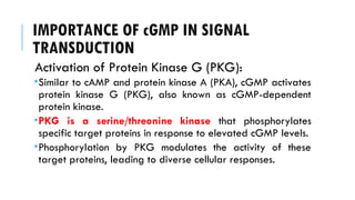 IMPORTANCE OF cGMP IN SIGNAL
TRANSDUCTION
Activation of Protein Kinase G (PKG):
Similar to cAMP and protein kinase A (PKA), cGMP activates
protein kinase G (PKG), also known as cGMP-dependent
protein kinase.
PKG is a serine/threonine kinase that phosphorylates
specific target proteins in response to elevated cGMP levels.
Phosphorylation by PKG modulates the activity of these
target proteins, leading to diverse cellular responses.
 