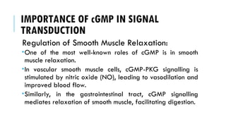 IMPORTANCE OF cGMP IN SIGNAL
TRANSDUCTION
Regulation of Smooth Muscle Relaxation:
One of the most well-known roles of cGMP is in smooth
muscle relaxation.
In vascular smooth muscle cells, cGMP-PKG signalling is
stimulated by nitric oxide (NO), leading to vasodilation and
improved blood flow.
Similarly, in the gastrointestinal tract, cGMP signalling
mediates relaxation of smooth muscle, facilitating digestion.
 