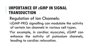IMPORTANCE OF cGMP IN SIGNAL
TRANSDUCTION
Regulation of Ion Channels:
cGMP-PKG signalling can modulate the activity
of certain ion channels in various cell types.
For example, in cardiac myocytes, cGMP can
enhance the activity of potassium channels,
leading to cardiac relaxation.
 