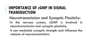 IMPORTANCE OF cGMP IN SIGNAL
TRANSDUCTION
Neurotransmission and Synaptic Plasticity:
In the nervous system, cGMP is involved in
neurotransmission and synaptic plasticity.
It can modulate synaptic strength and influence the
release of neurotransmitters.
 