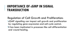 IMPORTANCE OF cGMP IN SIGNAL
TRANSDUCTION
Regulation of Cell Growth and Proliferation:
cGMP signalling can impact cell growth and proliferation
by regulating gene expression and cell cycle control.
It has been implicated in processes like cell differentiation
and wound healing.
 