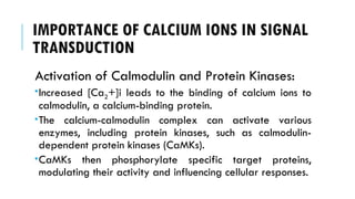 IMPORTANCE OF CALCIUM IONS IN SIGNAL
TRANSDUCTION
Activation of Calmodulin and Protein Kinases:
Increased [Ca2+]i leads to the binding of calcium ions to
calmodulin, a calcium-binding protein.
The calcium-calmodulin complex can activate various
enzymes, including protein kinases, such as calmodulin-
dependent protein kinases (CaMKs).
CaMKs then phosphorylate specific target proteins,
modulating their activity and influencing cellular responses.
 