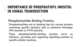 IMPORTANCE OF PHOSPHATIDYL INOSITOL
IN SIGNAL TRANSDUCTION
Phosphoinositide Binding Proteins:
Phosphoinositides act as docking sites for various proteins
containing specific domains, such as pleckstrin homology
(PH) domains or FYVE domains.
These phosphoinositide-binding proteins serve as
effectors, recruiting and regulating signalling proteins at
specific cellular locations.
 
