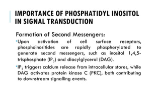 IMPORTANCE OF PHOSPHATIDYL INOSITOL
IN SIGNAL TRANSDUCTION
Formation of Second Messengers:
Upon activation of cell surface receptors,
phosphoinositides are rapidly phosphorylated to
generate second messengers, such as inositol 1,4,5-
trisphosphate (IP3) and diacylglycerol (DAG).
IP3 triggers calcium release from intracellular stores, while
DAG activates protein kinase C (PKC), both contributing
to downstream signalling events.
 