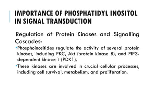 IMPORTANCE OF PHOSPHATIDYL INOSITOL
IN SIGNAL TRANSDUCTION
Regulation of Protein Kinases and Signalling
Cascades:
Phosphoinositides regulate the activity of several protein
kinases, including PKC, Akt (protein kinase B), and PIP3-
dependent kinase-1 (PDK1).
These kinases are involved in crucial cellular processes,
including cell survival, metabolism, and proliferation.
 