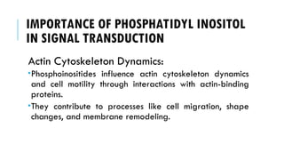 IMPORTANCE OF PHOSPHATIDYL INOSITOL
IN SIGNAL TRANSDUCTION
Actin Cytoskeleton Dynamics:
Phosphoinositides influence actin cytoskeleton dynamics
and cell motility through interactions with actin-binding
proteins.
They contribute to processes like cell migration, shape
changes, and membrane remodeling.
 