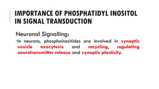 IMPORTANCE OF PHOSPHATIDYL INOSITOL
IN SIGNAL TRANSDUCTION
Neuronal Signalling:
In neurons, phosphoinositides are involved in synaptic
vesicle exocytosis and recycling, regulating
neurotransmitter release and synaptic plasticity.
 