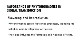 IMPORTANCE OF PHYTOHORMONES IN
SIGNAL TRANSDUCTION
Flowering and Reproduction:
Phytohormones control flowering processes, including the
initiation and development of flowers.
They also influence the formation and ripening of fruits.
 