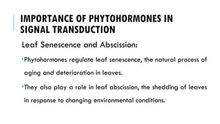 IMPORTANCE OF PHYTOHORMONES IN
SIGNAL TRANSDUCTION
Leaf Senescence and Abscission:
Phytohormones regulate leaf senescence, the natural process of
aging and deterioration in leaves.
They also play a role in leaf abscission, the shedding of leaves
in response to changing environmental conditions.
 