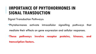 IMPORTANCE OF PHYTOHORMONES IN
SIGNAL TRANSDUCTION
Signal Transduction Pathways:
Phytohormones activate intracellular signalling pathways that
mediate their effects on gene expression and cellular responses.
These pathways involve receptor proteins, kinases, and
transcription factors.
 