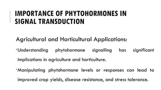IMPORTANCE OF PHYTOHORMONES IN
SIGNAL TRANSDUCTION
Agricultural and Horticultural Applications:
Understanding phytohormone signalling has significant
implications in agriculture and horticulture.
Manipulating phytohormone levels or responses can lead to
improved crop yields, disease resistance, and stress tolerance.
 