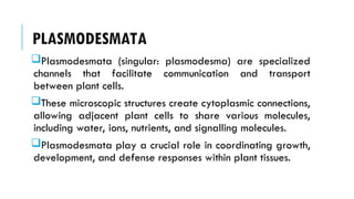 PLASMODESMATA
Plasmodesmata (singular: plasmodesma) are specialized
channels that facilitate communication and transport
between plant cells.
These microscopic structures create cytoplasmic connections,
allowing adjacent plant cells to share various molecules,
including water, ions, nutrients, and signalling molecules.
Plasmodesmata play a crucial role in coordinating growth,
development, and defense responses within plant tissues.
 