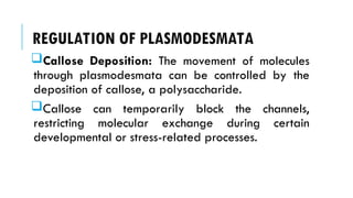 REGULATION OF PLASMODESMATA
Callose Deposition: The movement of molecules
through plasmodesmata can be controlled by the
deposition of callose, a polysaccharide.
Callose can temporarily block the channels,
restricting molecular exchange during certain
developmental or stress-related processes.
 