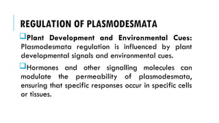 REGULATION OF PLASMODESMATA
Plant Development and Environmental Cues:
Plasmodesmata regulation is influenced by plant
developmental signals and environmental cues.
Hormones and other signalling molecules can
modulate the permeability of plasmodesmata,
ensuring that specific responses occur in specific cells
or tissues.
 