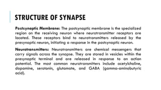 STRUCTURE OF SYNAPSE
Postsynaptic Membrane: The postsynaptic membrane is the specialized
region on the receiving neuron where neurotransmitter receptors are
located. These receptors bind to neurotransmitters released by the
presynaptic neuron, initiating a response in the postsynaptic neuron.
Neurotransmitters: Neurotransmitters are chemical messengers that
carry signals across the synapse. They are stored in vesicles within the
presynaptic terminal and are released in response to an action
potential. The most common neurotransmitters include acetylcholine,
dopamine, serotonin, glutamate, and GABA (gamma-aminobutyric
acid).
 