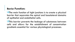 Barrier Function:
The main function of tight junctions is to create a physical
barrier that separates the apical and basolateral domains
of epithelial and endothelial cells.
This barrier prevents the leakage of substances between
cells and allows for the establishment of concentration
gradients essential for various physiological processes.
 