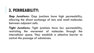 3. PERMEABILITY:
Gap Junctions: Gap junctions have high permeability,
allowing the direct exchange of ions and small molecules
between adjacent cells.
Tight Junctions: Tight junctions have low permeability,
restricting the movement of molecules through the
intercellular space. They establish a selective barrier to
control the passage of substances.
 