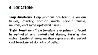 4. LOCATION:
Gap Junctions: Gap junctions are found in various
tissues, including cardiac muscle, smooth muscle,
neurons, and some epithelial tissues.
Tight Junctions: Tight junctions are primarily found
in epithelial and endothelial tissues, forming the
apical junctional complex that separates the apical
and basolateral domains of cells.
 