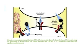https://www.researchgate.net/publication/47791127_Prowse_ABJ_Chong_F_Gray_PP_Munro_TP_Stem_cell_integ
rins_implications_for_ex-vivo_culture_and_cellular_therapies_Stem_Cell_Res_6_1-12/figures?lo=1&utm_source=go
ogle&utm_medium=organic
 