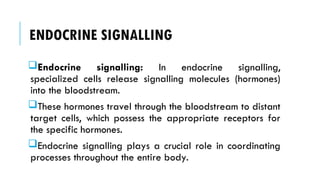 ENDOCRINE SIGNALLING
Endocrine signalling: In endocrine signalling,
specialized cells release signalling molecules (hormones)
into the bloodstream.
These hormones travel through the bloodstream to distant
target cells, which possess the appropriate receptors for
the specific hormones.
Endocrine signalling plays a crucial role in coordinating
processes throughout the entire body.
 