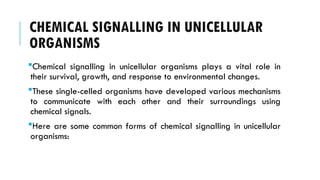 CHEMICAL SIGNALLING IN UNICELLULAR
ORGANISMS
Chemical signalling in unicellular organisms plays a vital role in
their survival, growth, and response to environmental changes.
These single-celled organisms have developed various mechanisms
to communicate with each other and their surroundings using
chemical signals.
Here are some common forms of chemical signalling in unicellular
organisms:
 