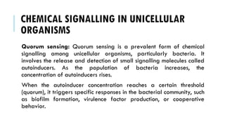 CHEMICAL SIGNALLING IN UNICELLULAR
ORGANISMS
Quorum sensing: Quorum sensing is a prevalent form of chemical
signalling among unicellular organisms, particularly bacteria. It
involves the release and detection of small signalling molecules called
autoinducers. As the population of bacteria increases, the
concentration of autoinducers rises.
When the autoinducer concentration reaches a certain threshold
(quorum), it triggers specific responses in the bacterial community, such
as biofilm formation, virulence factor production, or cooperative
behavior.
 