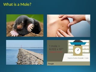 What is a Mole?
 