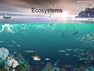 Ecosystems 