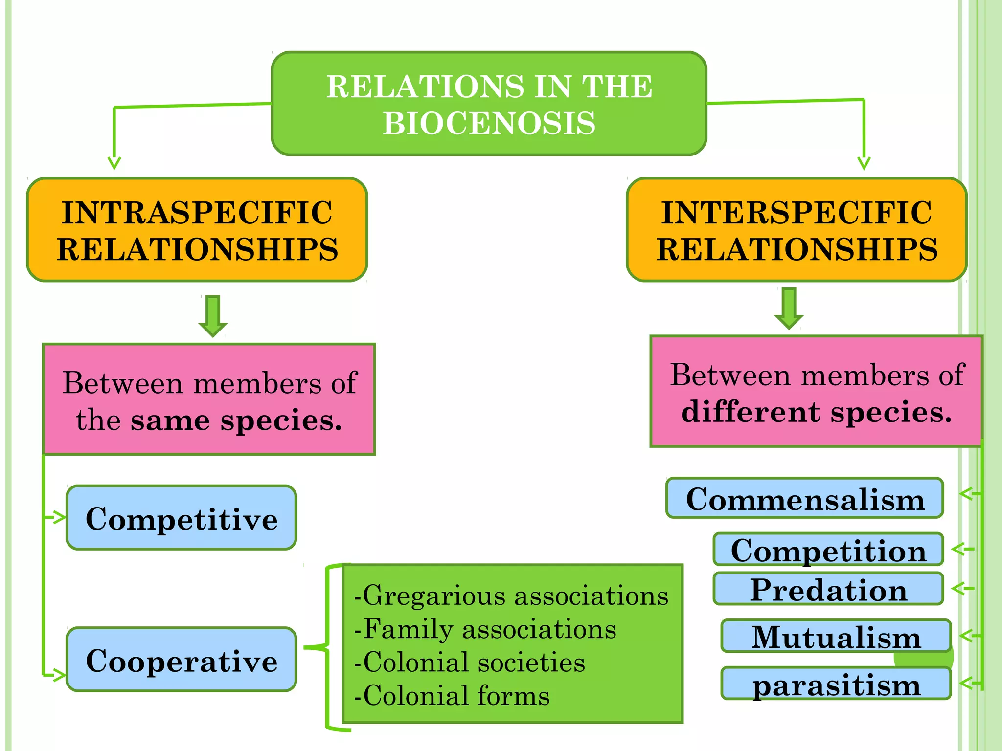 RELATIONS IN THE
BIOCENOSIS
INTRASPECIFIC
RELATIONSHIPS
INTERSPECIFIC
RELATIONSHIPS
Between members of
the same species.
Between members of
different species.
Competitive
Cooperative
-Gregarious associations
-Family associations
-Colonial societies
-Colonial forms
Competition
Commensalism
Predation
Mutualism
parasitism
 