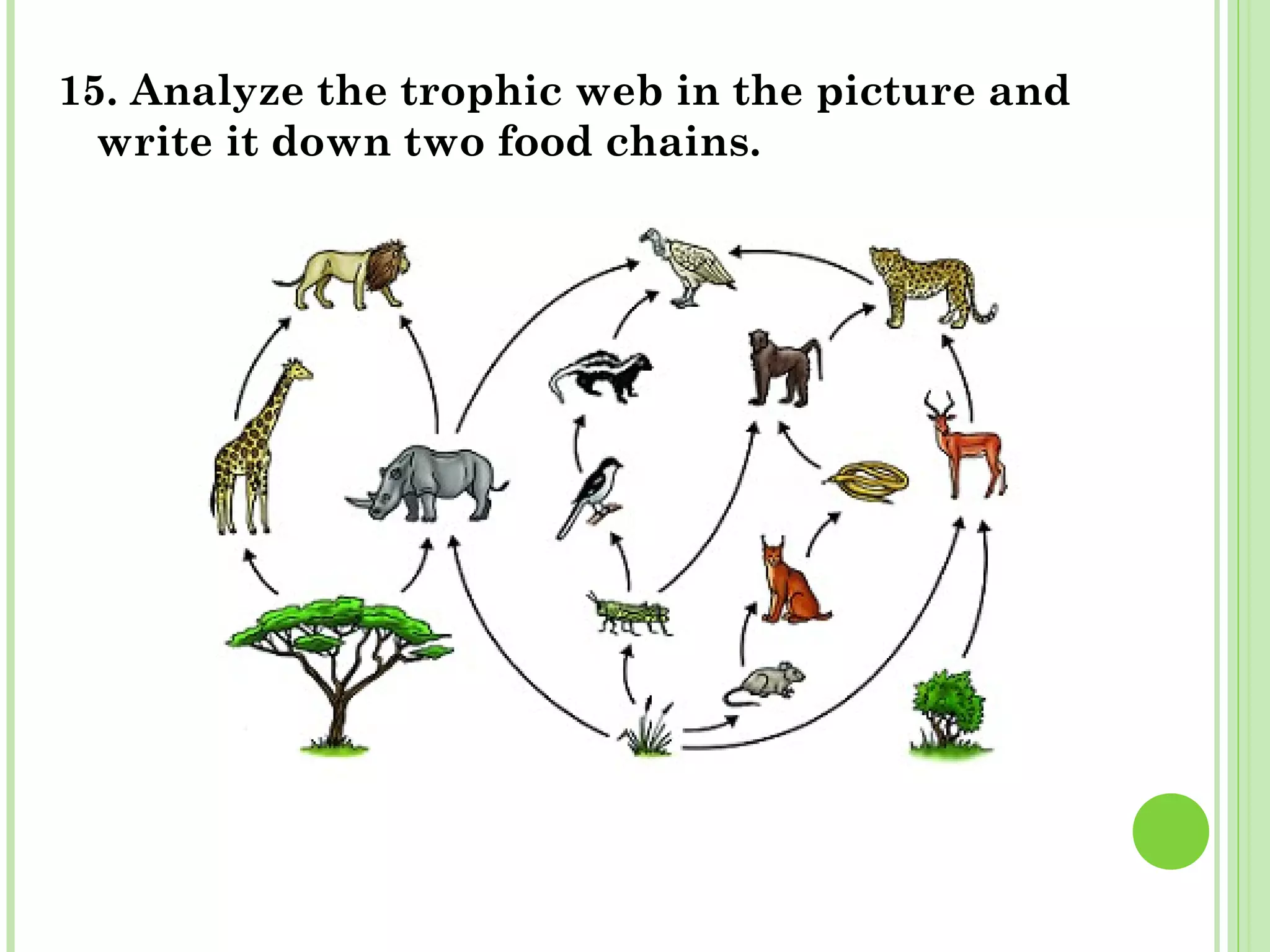 15. Analyze the trophic web in the picture and
write it down two food chains.
 