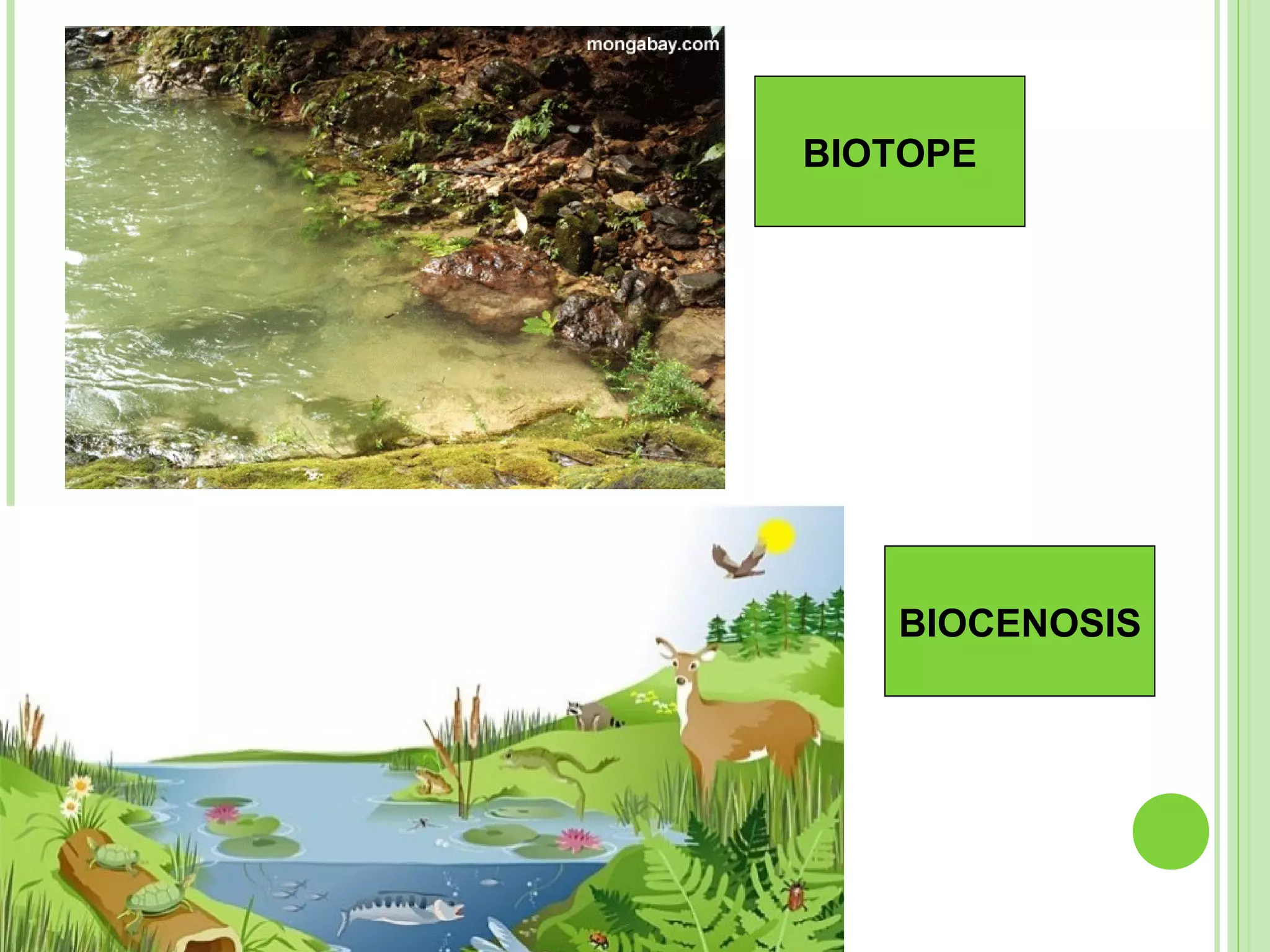 BIOTOPE
BIOCENOSIS
 