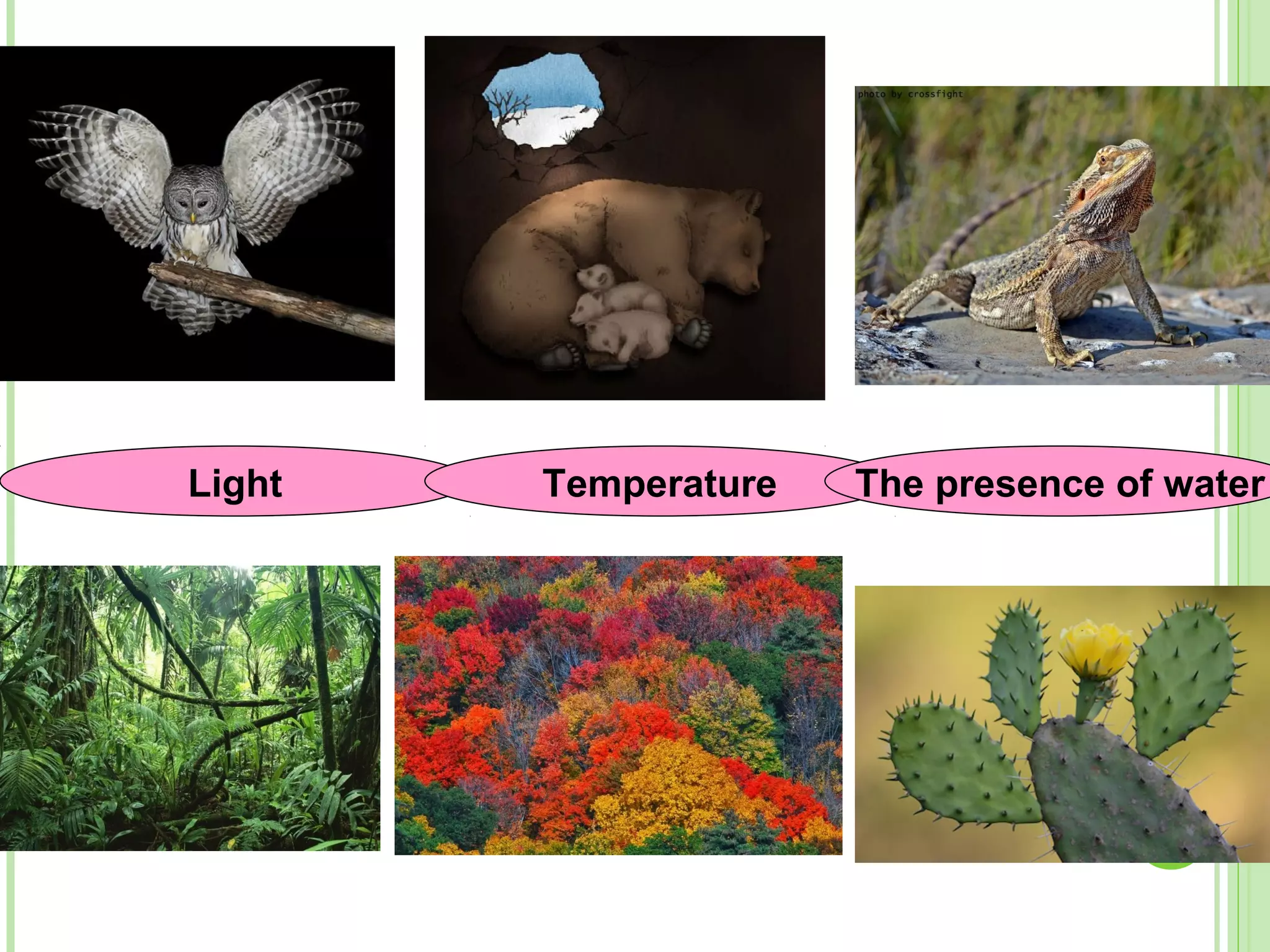 Light Temperature The presence of water
 