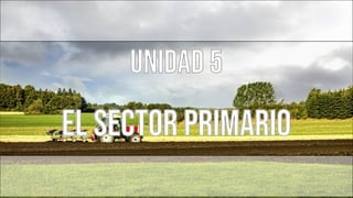 UNIDAD 5
EL SECTOR PRIMARIO
 