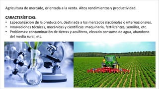 35% de la producción final agraria.
Importancia del ganado ovino (Castillas, Extremadura),
porcino (Cataluña, Aragón) y ca...