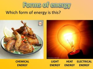 Which form of energy is this?

CHEMICAL
ENERGY

LIGHT
ENERGY

HEAT ELECTRICAL
ENERGY ENERGY

 