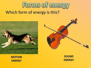 Which form of energy is this?

MOTION
ENERGY

SOUND
ENERGY

 