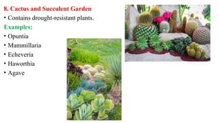 8. Cactus and Succulent Garden
• Contains drought-resistant plants.
Examples:
• Opuntia
• Mammillaria
• Echeveria
• Haworthia
• Agave
 