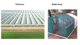 Polyhouse Shade house
 
