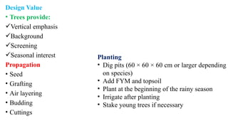 Design Value
• Trees provide:
Vertical emphasis
Background
Screening
Seasonal interest
Propagation
• Seed
• Grafting
• Air layering
• Budding
• Cuttings
Planting
• Dig pits (60 × 60 × 60 cm or larger depending
on species)
• Add FYM and topsoil
• Plant at the beginning of the rainy season
• Irrigate after planting
• Stake young trees if necessary
 