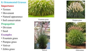 8. Ornamental Grasses
Importance
• Texture
• Movement
• Natural appearance
• Soil conservation
Propagation
• Division
• Seed
Examples
• Fountain grass
• Pampas grass
• Vetiver
• Zebra grass Zebra grass
Vetiver
Pampas grass
Fountain grass
 
